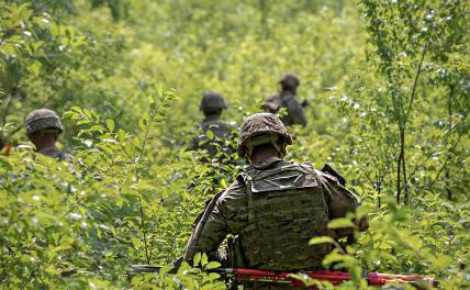 Кому первая пуля за фатальные ошибки ВСУ: Залужному или Зеленскому?