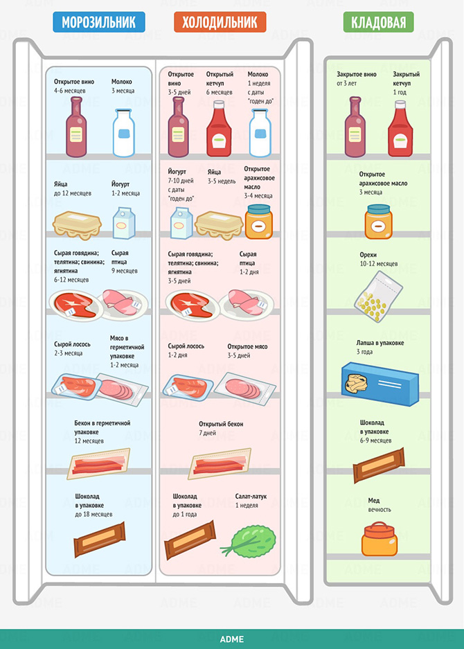 Сколько на самом деле живет еда в холодильнике