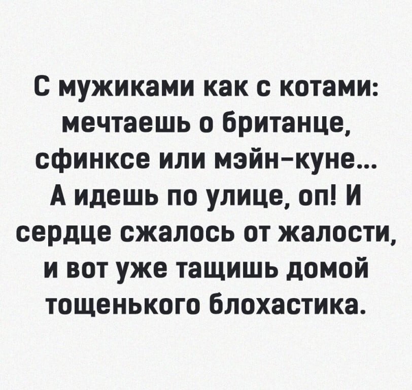 Возможно, это изображение (один или несколько человек и текст «с мужиками как с котами: мечтаешь 0 британце, сфинксе или мэйн-куне... A идешь по улице, оп! и сердце сжалось от жалости, и вот уже тащишь домой тощенького блохастика.»)