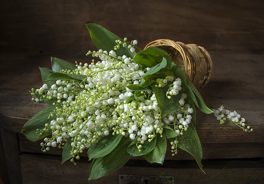 Фотонатюрморты Костюченко Людмилы Фотонатюрморты Костюченко Людмилы фотография