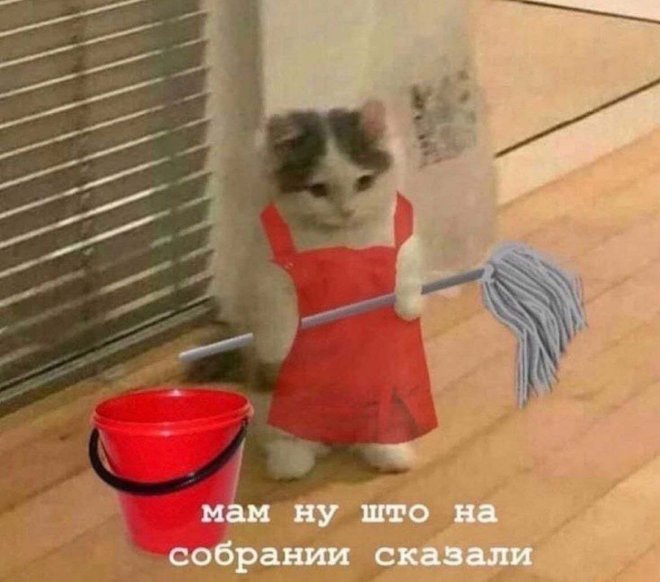 Анекдоты недели и Дональд с Илоном г,Санкт-Петербург [1414662]