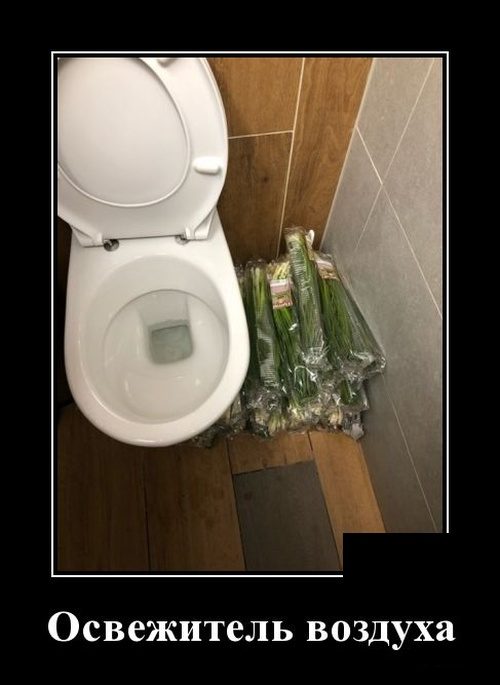 Демотиваторы дня. Классика жанра Демотиваторы дня. Классика жанра демотиваторы