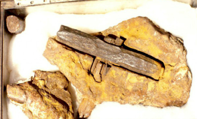 В 1936 археологи нашли в земле молоток внутри камня. Новый анализ показал, что породе 400 миллионов лет и ее не трогали молоток, камня, Ничего, вокруг, миллионов, решили, который, камень, молотка, нашли, артефакт, провести, научные, второй, серьезные, половине, вызывал, сразу, Данный, минимум