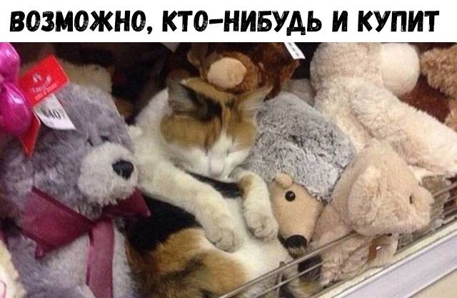 Аморальные картинки Аморальные картинки