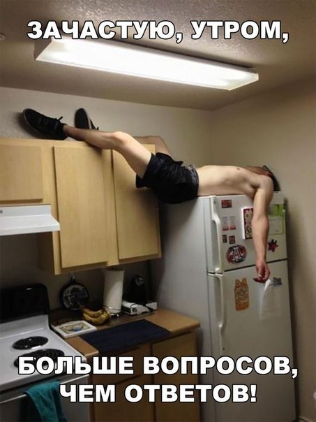 Забавные и жизненные надписи к картинкам со смыслом