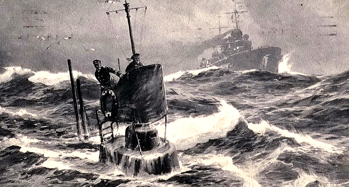 Средство против субмарин. Как морские чайки помогли британскому флоту?