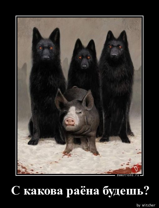 Свежая подборка демотиваторов: «Кто не работает, тот ест» 