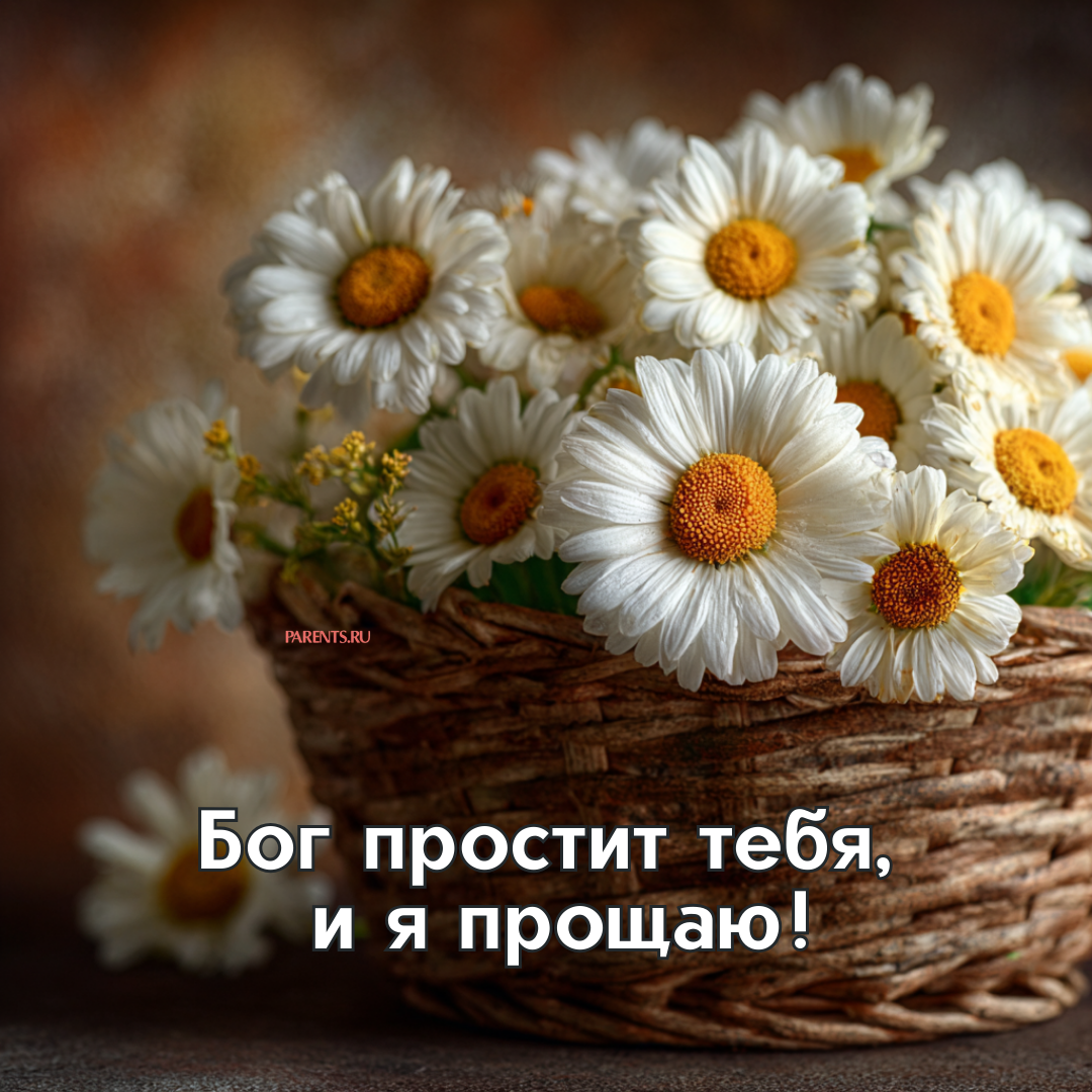 «Бог простит, и я прощаю»: 25 открыток, которые можно отправить на Прощеное воскресенье-2026 в ответ на извинения «Бог простит, и я прощаю»: 25 открыток, которые можно отправить на Прощеное воскресенье-2026 в ответ на извинения format-article,noindex,Стиль жизни