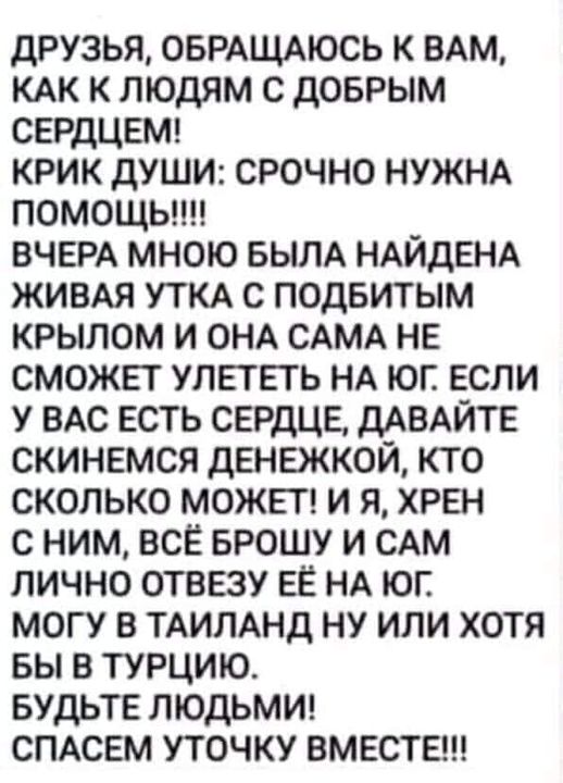 Возможно, это изображение (один или несколько человек и текст «друзья, обращаюсь K вам, как K людям c добрым сердцем! крик души: срочно нужна помощь!!!! вчера мною была найдена живая утка c подбитым крылом и OHA CAMA не сможет улететь HA юг. если y вас есть сердце, давайте скинемся денежкой, кто сколько может! и я, хрен c ним, всё брошу и CAM лично отвезу её HA юг. могу в таиланд ну или хотя Ðы в турцию. будьте людьми! спасем уточку вместе!!!»)