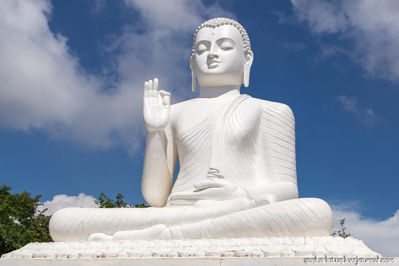 Колыбель буддизма на Шри-Ланке или загадка о манговом дереве