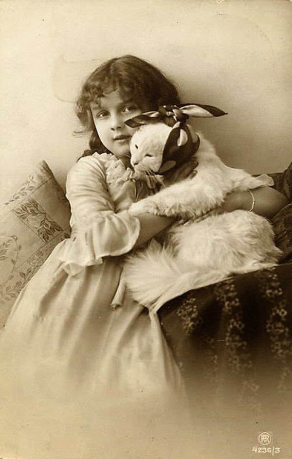 Фотография: Очаровательные винтажные кошки, которые докажут, что коты правили миром во все времена №11 - BigPicture.ru