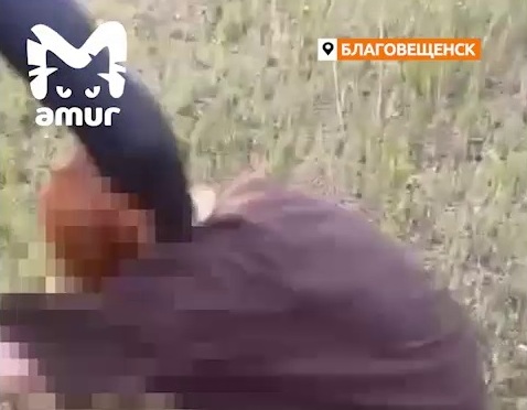 В Амурской области неизвестные изувечили девушку и сняли это на видео