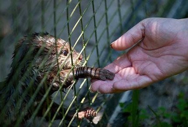 Давайте улыбаться вместе :)