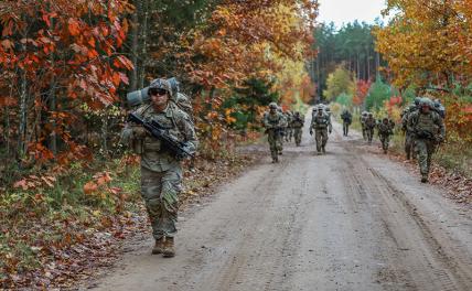 Business Insider Polska: Польша начала подготовку к войне. С Россией за Львов геополитика,г,Москва [1405113],респ,Крым [1434425]