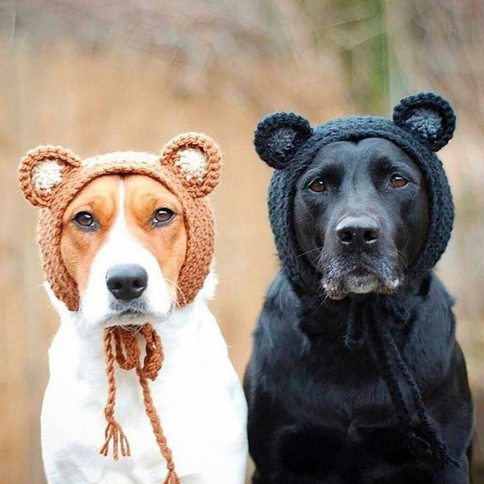 Просто чудесные и красивые фотографии с подписями и надписями 