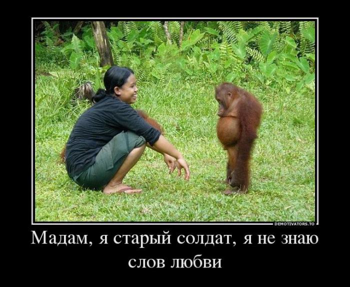 Забавные, веселые и смешные демотиваторы из нашей жизни демотиваторы свежие,смешные демотиваторы