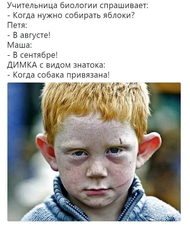 Юмор из интернета 622 позитив,смех,смехотерапия,улыбки,юмор