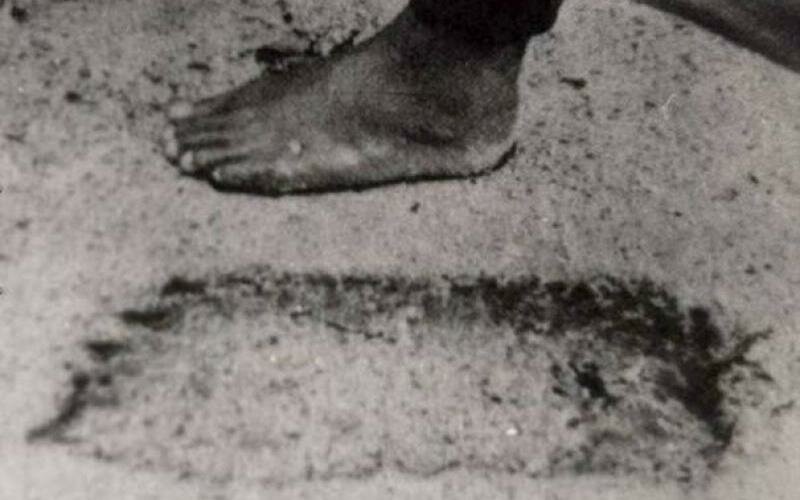 Места, где есть реальный шанс столкнуться со снежным человеком