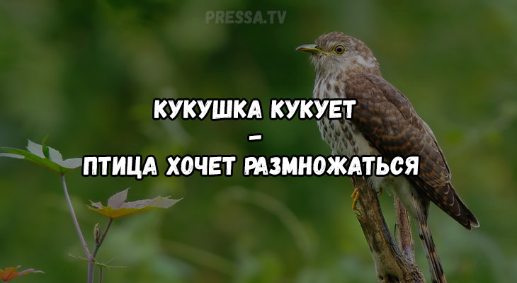 Объясняем народные приметы