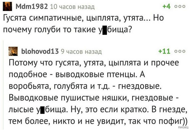 Суперприколы из социальных сетей, от которых болит живот Суперприколы из социальных сетей, от которых болит живот картинки,юмор