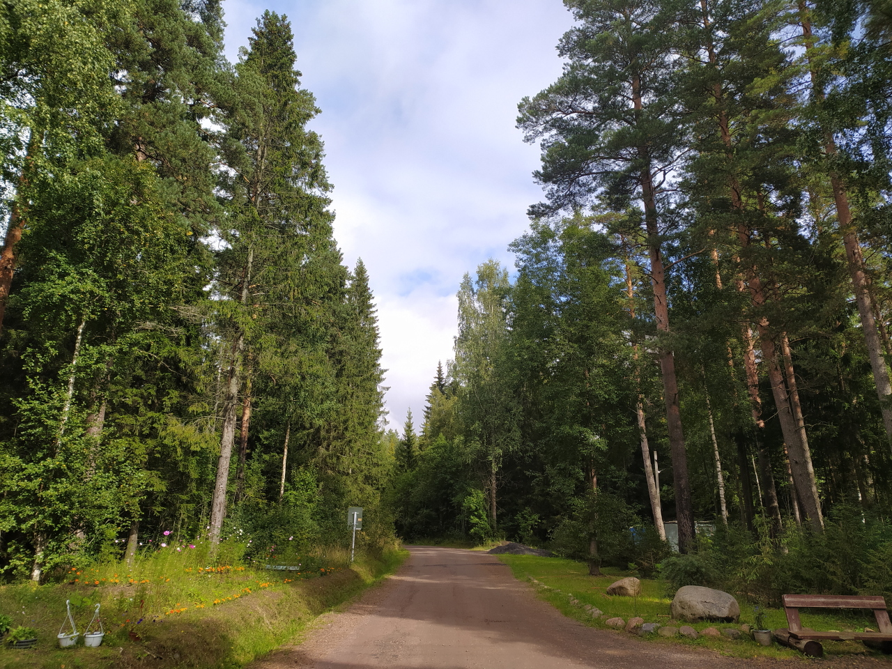 В Гусь-Хрустальном районе запретили ходить в лес из-за обработки биопрепаратом