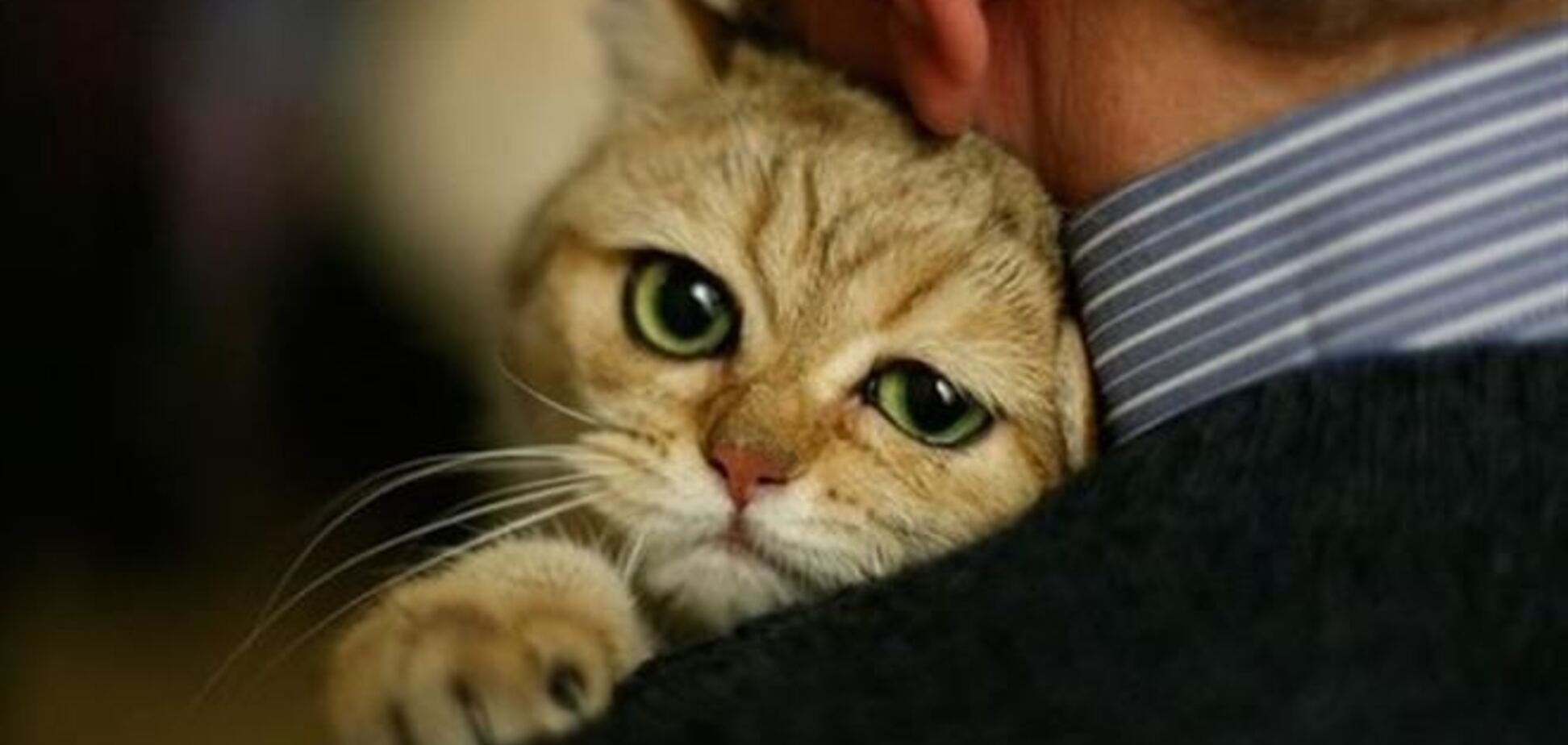 Двенадцать часов