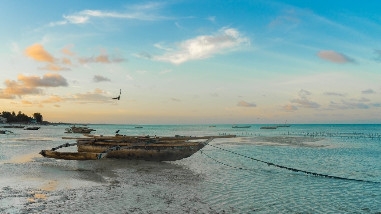 Россия продлила запрет на авиасообщение с Танзанией до 1 октября