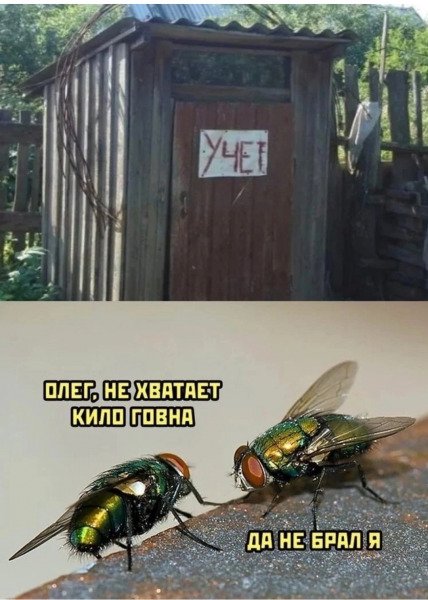 Подборка приколов для отличного дня Подборка приколов для отличного дня