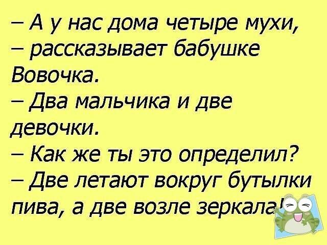 Возможно, это изображение (один или несколько человек и текст «-Ay нас дома четыре мухи, рассказывает бабушке вовочка. -два мальчика и две девочки. как же ты это определил? -две летают вокруг бутылки пива, a две возле зеркала!»)