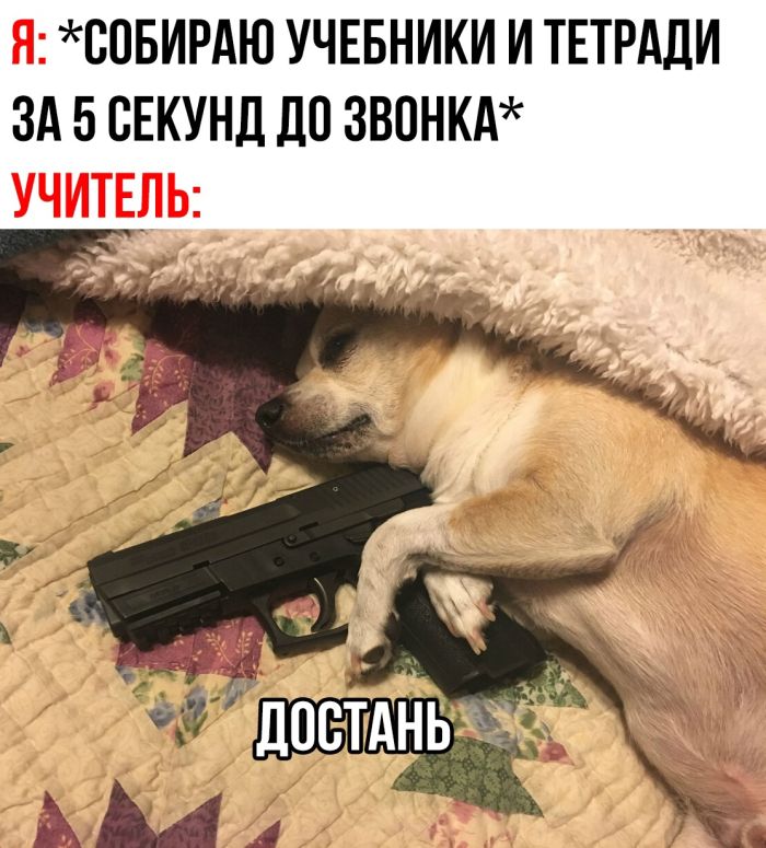 Прикольные картинки с надписями и свиничница Прикольные картинки с надписями и свиничница