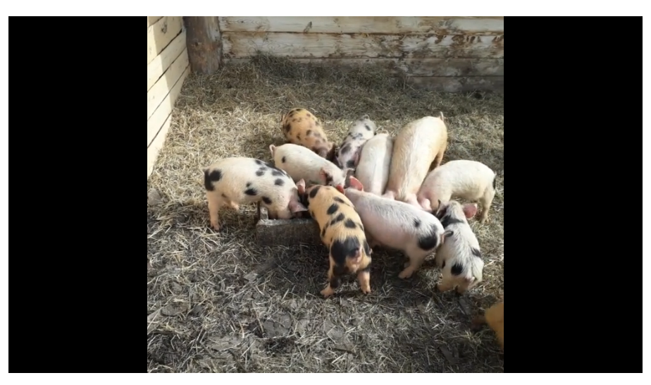 Есть ли бедность в селе Казаково, что за 2040 км от Москвы?