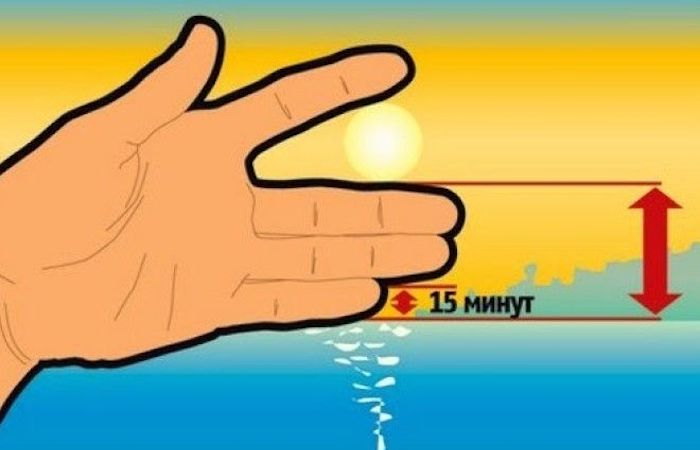 8 школьных «шпаргалок», которые точно пригодятся каждому взрослому