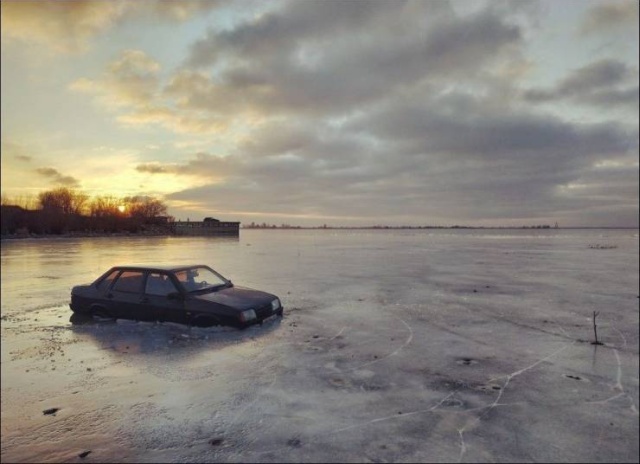 Подборка картинок. Дневной выпуск (20 фото)