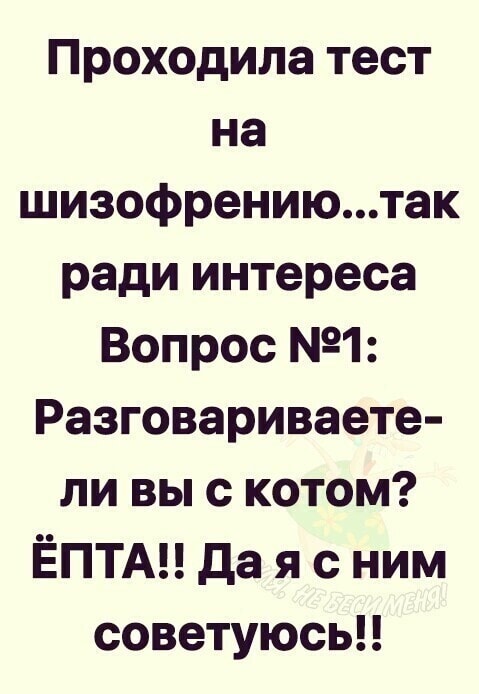Возможно, это изображение (один или несколько человек и текст «проходила тест на шизофрению...так ради интереса вопрос №º1: разговариваете- ли вы с котом? ёпта!! да я с ним меня! советуюсь!!»)