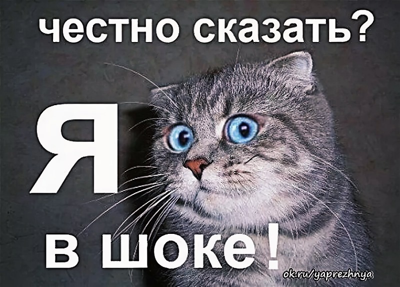 Русские пословицы о мурчащих кошка, кошке, кошек, кошки, любили, Великий, пост Борода, честь, есть Отольются, мышкины, слёзки Живут, собакой Отчего, гладок, бок Покупать, мешке Кот, пляс Зарекалась, серы Кошку, лазить Ночью, против, шерсти