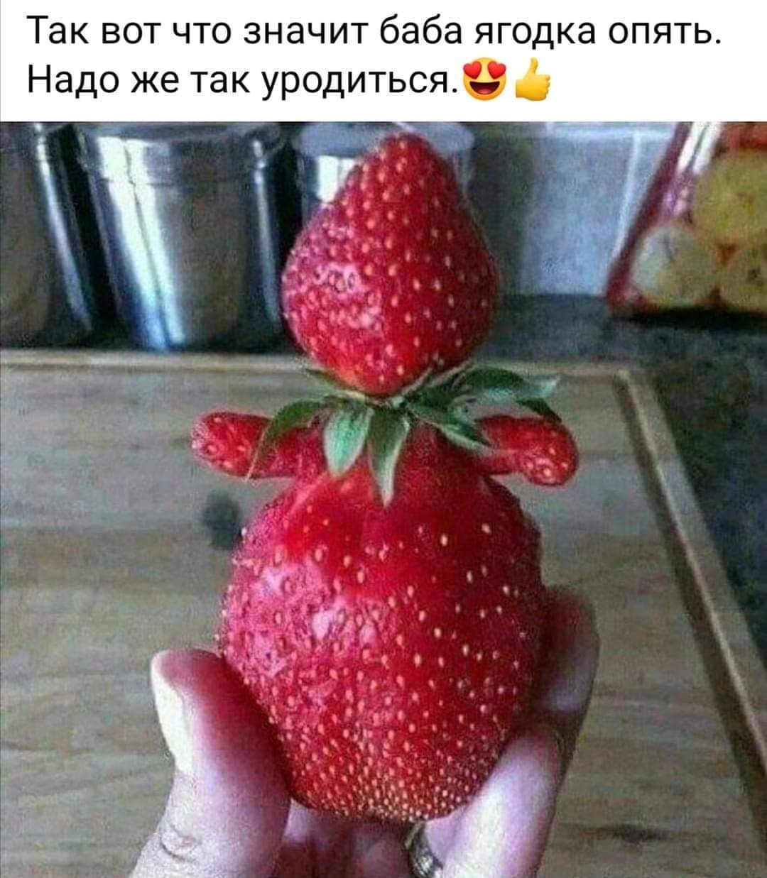 Веселые истории о нас. Лето 