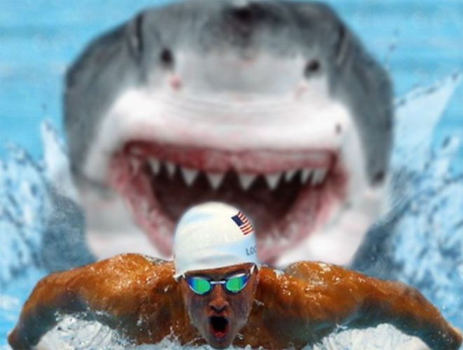 Смотрите, чем закончилась гонка акулы и лучшего пловца мира. Видео