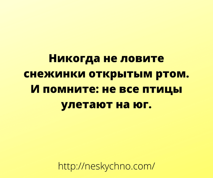 Подборка смешных шуток и открыток для настроения