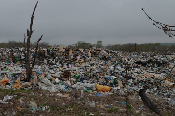 В Бердске подписывают петицию против мусорного полигона