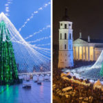 В центре Вильнюса поставили елку, украшенную 50 000 лампочек