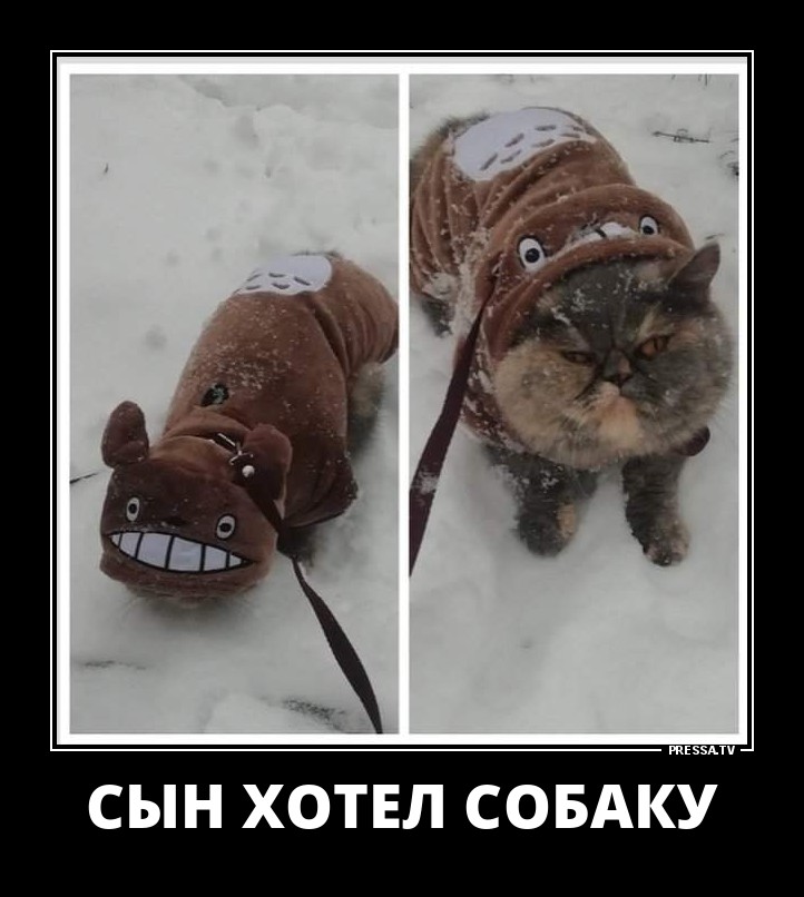 Забавные жизненные демотиваторы Забавные жизненные демотиваторы