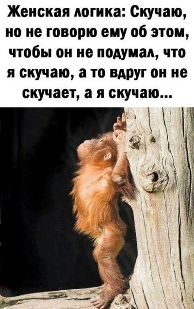 Подборка шуточек Подборка шуточек