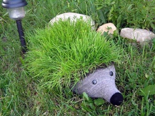 Что можно сделать из пластиковых бутылок своими руками для дачного участка, сада и огорода Что можно сделать из пластиковых бутылок своими руками для дачного участка, сада и огорода идеи