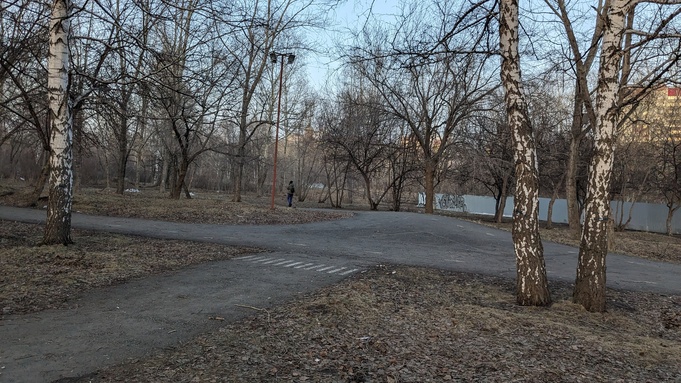 Стало известно, когда в Барнауле выберут новое название для бывшего парка им. Ленина