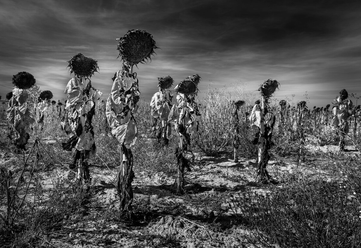 © Vicente Ansola (Испания) «Исход».
Победитель в категории «Пейзаж» | Sony World Photography Awards 2022
