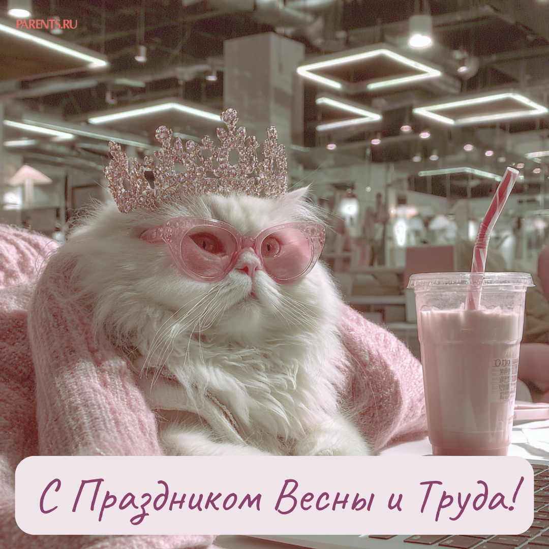 Красивые открытки «С 1 мая» для бабушек, дедушек, мам и пап — в общем, для всех можно, открытки, которые, бесплатно, открыток, Весны, теплее, попрежнему, весныСегодня, приход, ощутить, понастоящему, наконецто, температура, становится, воздуха, поздравлять, весну, только, чествует