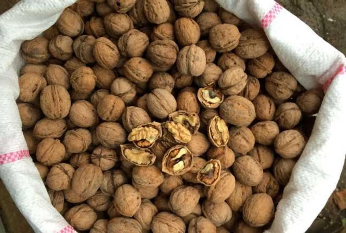 3 удивительных факта о грецких орехах, после которых вы будете есть их ежедневно!