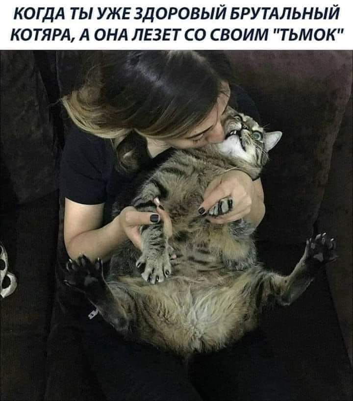 Юмор из интернета 622 позитив,смех,смехотерапия,улыбки,юмор