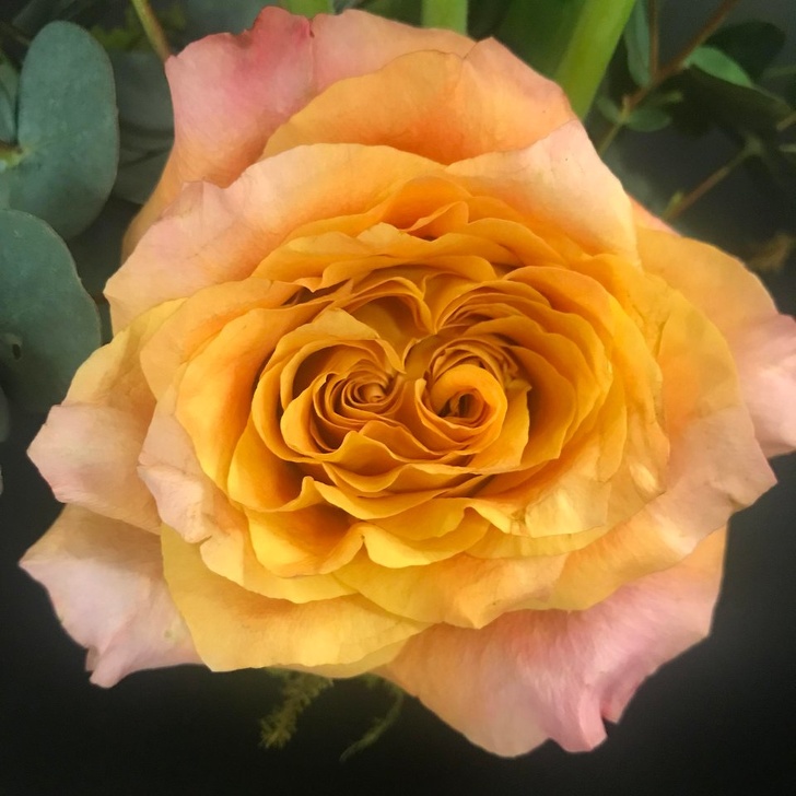 15 доказательств того, что в мире есть еще вещи, которых мы не видели 15 доказательств того, что в мире есть еще вещи, которых мы не видели