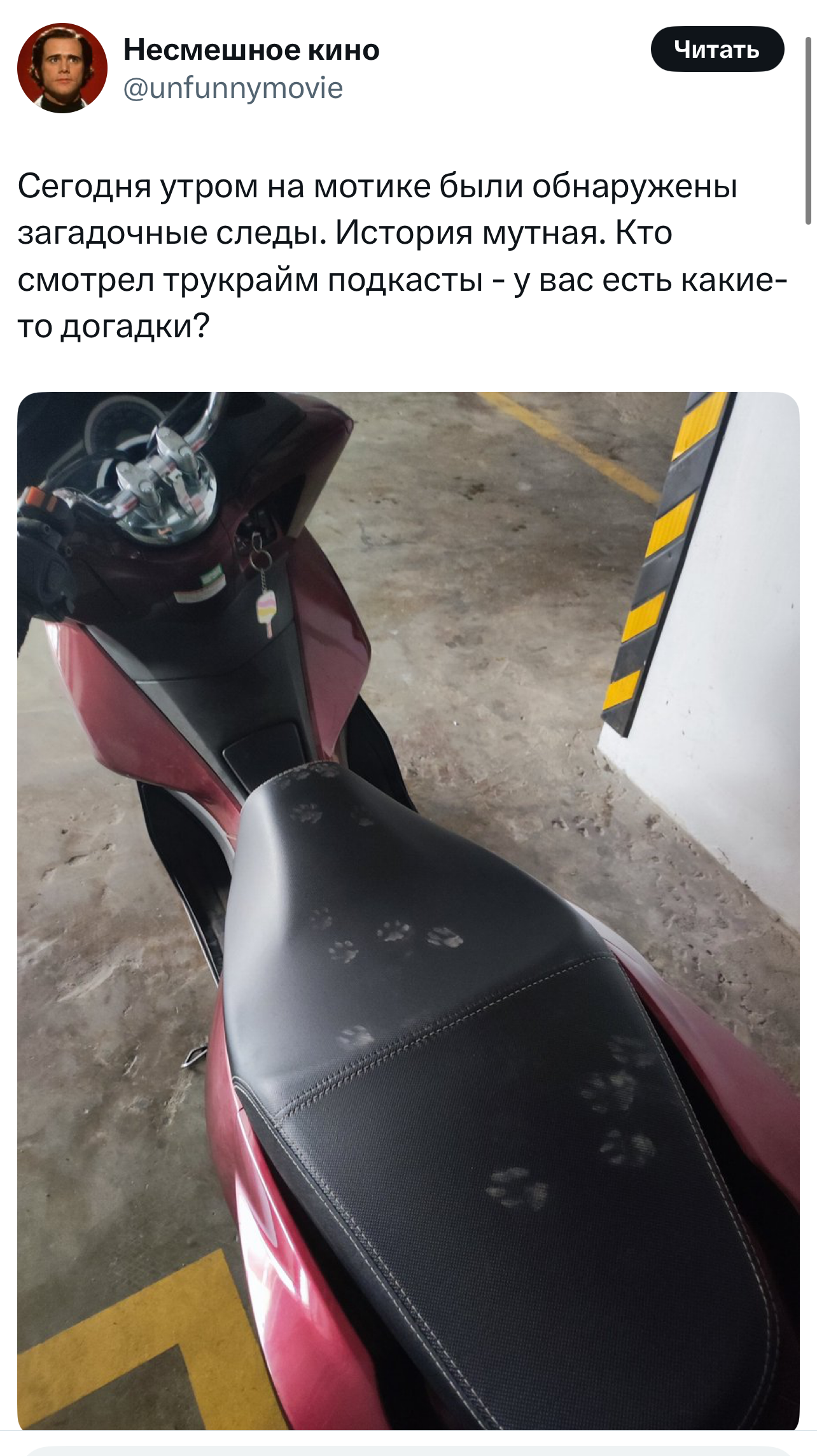 Лучшие шутки дня из X (Twitter): юмор, который не заблокировать